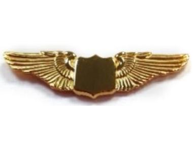 LARGE WINGS TACKETTE GOLD